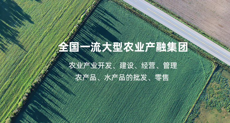 至尊国际 – 至尊服务,至尊享受