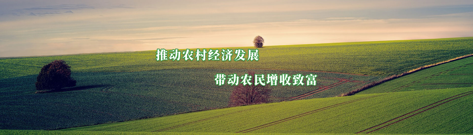 至尊国际 – 至尊服务,至尊享受