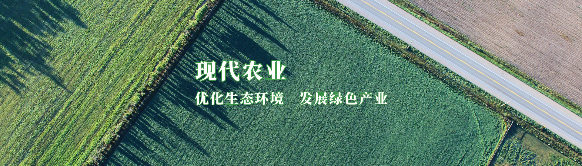 至尊国际 – 至尊服务,至尊享受