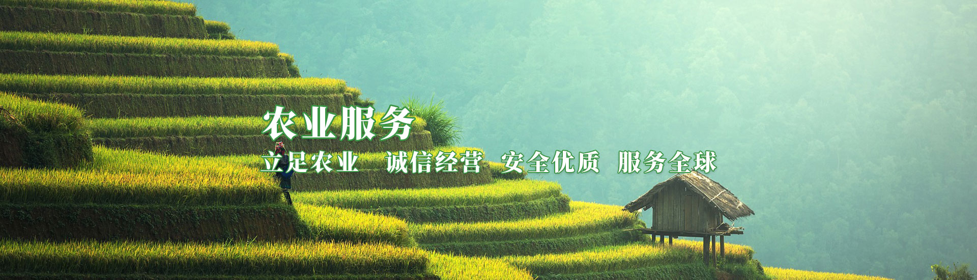 至尊国际 – 至尊服务,至尊享受