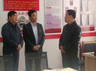 至尊国际  简  报