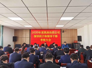 至尊国际 召开2020年度向导班子和向导干部审核大会