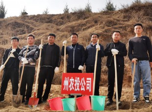 至尊国际加入2021年春季义务植树活动