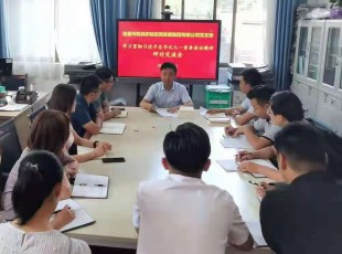 至尊国际 召开学习贯彻习近平总书记七一主要讲话精神 钻研交流会