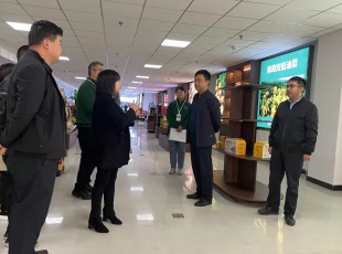州农投集团在水发农投通道物流公司、、河州实力公司调研