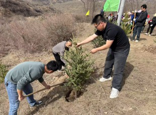 州农投公司加入2025年春季义务植树活动